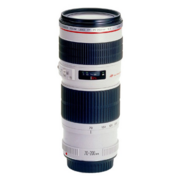 Объектив Canon EF USM (2578A009) 70-200мм f/4L