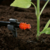Капельница Gardena 08392-29.000.00 (в комп.:10 предметов)