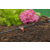 Капельница Gardena 08392-29.000.00 (в комп.:10 предметов)