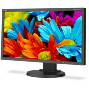 NEC 21.5" MultiSync E224Wi черный {IPS 1920x1080, 1000:1, 250, 6ms, 178/178, D-Sub, DVI, DP}