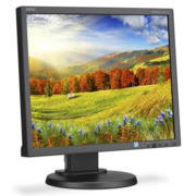 NEC 19" LCD EA193Mi-BK черный {IPS 1280x1024, 6мс 1000:1, 250, 178/178, DVI-D, DP}