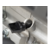Генератор Carver PPG-3900A 3.2кВт