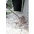 Строительный пылесос Karcher WD 3 Premium 1000Вт (уборка: сухая/сбор воды) желтый