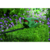 Кусторез Bosch EasyHedgeCut 55 (0600847C02)