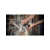 Углошлифовальная машина Worx WX711 750Вт 12000об/мин рез.шпин.:M14 d=115мм
