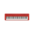 Синтезатор Casio CT-S1RD 61клав. красный