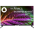 Телевизор LED Hyundai 43" H-LED43BU7003 Яндекс.ТВ Frameless черный 4K Ultra HD 60Hz DVB-T DVB-T2 DVB-C DVB-S DVB-S2 USB WiFi Smart TV