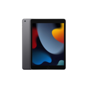 iPad mini Wi-Fi 256GB Space Grey A2602