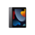 iPad mini Wi-Fi 256GB Space Grey A2602