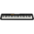 Синтезатор Casio CT-S100 61клав. черный