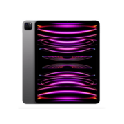 iPad Pro Wi-Fi 128GB 11-inch Space Grey A2377