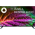 Телевизор LED Starwind 50" SW-LED50UG403 Яндекс.ТВ Frameless черный 4K Ultra HD 60Hz DVB-T DVB-T2 DVB-C DVB-S DVB-S2 USB WiFi Smart TV