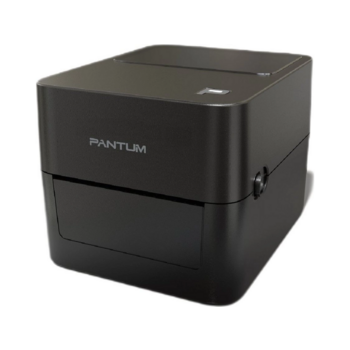 Термопринтер Pantum PT-D160N 203dpi 152мм/с/USB/Eth для печ.накл. черный