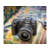 Фотоаппарат Canon EOS R8 черный 24.2Mpix 3" UHD 4K WiFi LP-E17