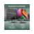 Моноблок Digma Action 21.5" Full HD Cel N5095A (2) 8Gb SSD256Gb UHDG 600 CR Windows 11 Pro GbitEth WiFi BT 60W клавиатура мышь Cam черный 1920x1080