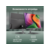 Моноблок Digma Action 21.5" Full HD N95 (1.7) 8Gb SSD256Gb UHDG 600 CR Windows 11 Pro GbitEth WiFi BT 60W клавиатура мышь Cam черный 1920x1080