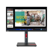 Монитор Lenovo 23.8" ThinkVision P24q-30 черный IPS LED 16:9 HDMI матовая HAS Piv 1000:1 300cd 178гр/178гр 2560x1440 60Hz DP Quad 2K (1440p) USB 5.7кг