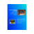 Ноутбук Tecno MegaBook K16SDA Ryzen 5 7430U 8Gb SSD256Gb AMD Radeon Graphics 16" IPS WUXGA (1920x1200) Windows 11 Home silver WiFi BT Cam 6060mAh (71003300425)