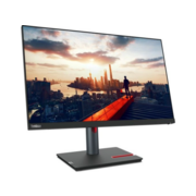 Монитор Lenovo 23.8" ThinkVision P24h-30 черный IPS LED 4ms 16:9 HDMI матовая HAS Piv 300cd 178гр/178гр 2560x1440 60Hz DP 2K USB 5.7кг