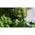 Кусторез Greenworks G40PHAаккум. (2300407)