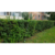 Кусторез Greenworks G40PHAаккум. (2300407)