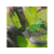 Газонокосилка роторная Greenworks G40LM49DB (2500207)