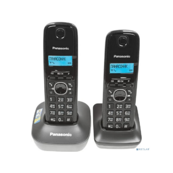Р/Телефон Dect Panasonic KX-TG1612RUH темно-серый (труб. в компл.:2шт) АОН